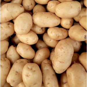 Potato