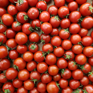 Tomatoes