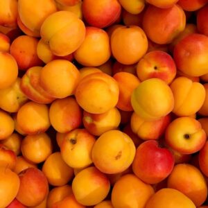 Apricot
