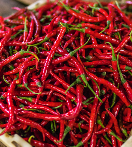 Red chilis