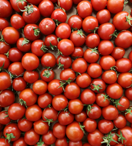 Tomatoes